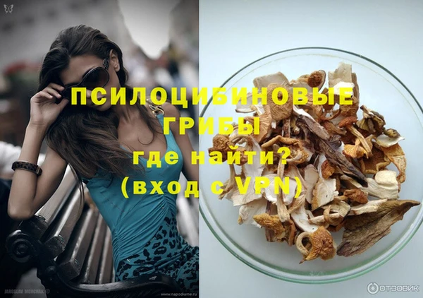 ГАЛЛЮЦИНОГЕННЫЕ ГРИБЫ Балахна