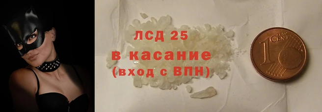 ГАЛЛЮЦИНОГЕННЫЕ ГРИБЫ Балахна