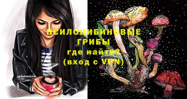 ГАЛЛЮЦИНОГЕННЫЕ ГРИБЫ Балахна