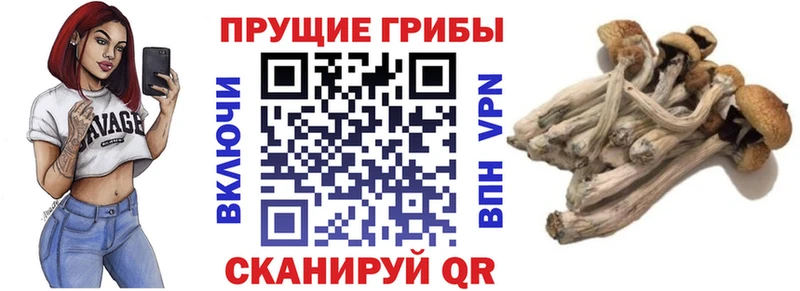 магазин продажи   Горнозаводск  Галлюциногенные грибы мухоморы 
